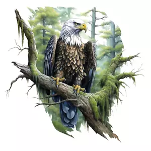 XXXL 30X30 cm Autoaufkleber Sticker Adler Aufkleber - Picture 1 of 1