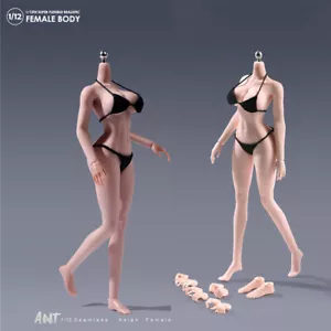 ANT 1/12 große Büste prall hip Mädchen nahtloser Körper für 6" weibliche Actionfigur Spielzeug - Bild 1 von 36
