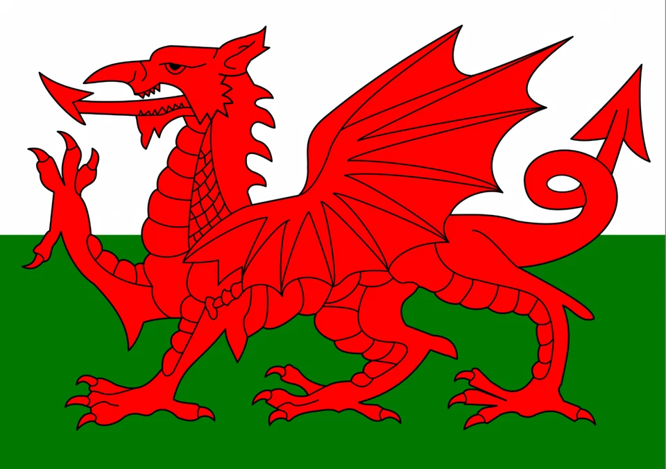 Welsh Wales Flag The Red Dragon Adhesive Decal Vinyl Sticker A Size Large Small