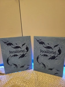 Litografía Disney 1996 de colección rara Disney Pocahontas - Imagen 1 de 11
