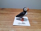 LITTLE CRITTERZ Bird Horned Puffin "Swimmer" Miniature Figurine New LC568