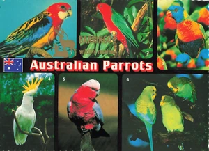 Postcard Australian Parrots 6 Views - Picture 1 of 2