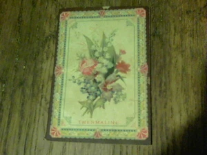 Folleto Thermaline sobre remedio para escalofríos y fiebre, fiebre y ague 1881 - Imagen 1 de 6