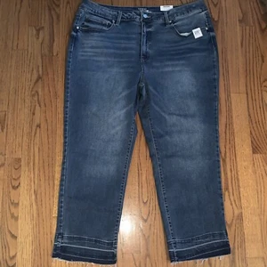 TIME and TRU Straight Jeans Plus Size 20 Inseam 25 inches Womens NEW ❤️tb116 - Picture 1 of 7