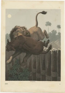 Litografía original a color de un ataque de león - Imagen 1 de 1