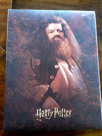 Star Ace Toys Harry Potter - Rubeus Hagrid (Ver. 2.0) 1/6 Scale Action Figure Cover