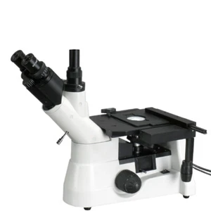 Microscopio metalúrgico invertido polarizador súper amplio AmScope 40X-1000X - Imagen 1 de 8