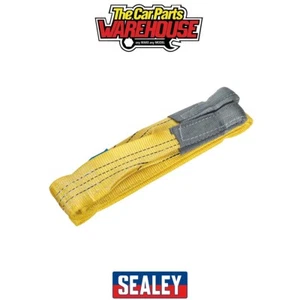 Sealey LS3003 Load Sling 3m 3 Tonne Capacity - Picture 1 of 5