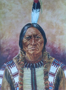 Toro sentado jefe de James Vlasaty tribu SIOUX - Imagen 1 de 1