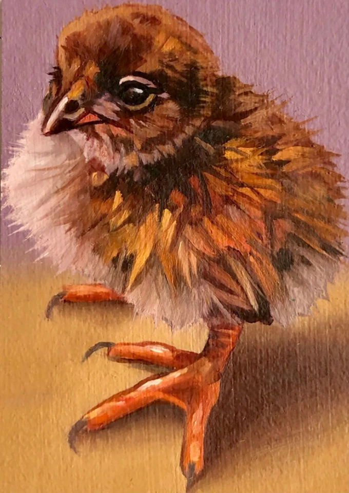 ACEO original “Pollito marrón y gris”, arte de aves, ATC, pintura al óleo century_wild Foto 1 de 1