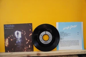 THE TRIFFIDS - Bury me deep in Love 7" + PROMOTION SHEET 1987 Island D PicCvr NM - Bild 1 von 2