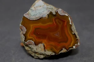 Condor agate collector specimen - Picture 1 of 4