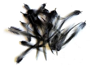 Northern Game Cock Hackles zum Fliegenbinden - VERSCHIEDENE FARBEN ERHÄLTLICH - Bild 1 von 18