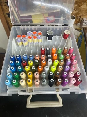 For Sale: Vibrant Thread Collection with Organizer - Image 1 of 4