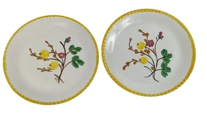 Juego de 2 platos de cena Blue Ridge Southern Potteries Candlewick Gooseberry 10" - Imagen 1 de 11