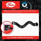 Radiator Hose Fits Mercedes Ml300 W164 3.0D Lower 10 To 11 Om642.820 Coolant New