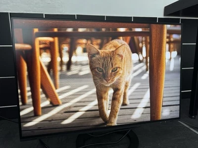 EIZO FlexScan EV2495 24,1 Zoll 16:10 LED Backlight Monitor - Schwarz - Bild 1 von 4