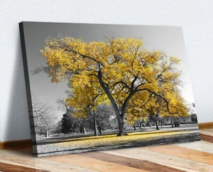 Großer Baum gelbe Blätter schwarz weiß Leinwand Wandkunst Bilddruck 30 mm tief - Bild 1 von 5