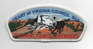 Heart of Virginia (era R. E. Lee) Council CSP SA-?, 2016, White Brd, Philmont - Imagen 1 de 1