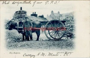 UNDIVIDED BACK PRINTED POSTCARD OF THE HOY EXPRESS, ORKNEY ISLANDS, SCOTLAND - Foto 1 di 2