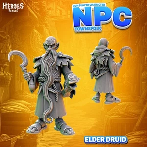Dungeons & Dragons NPC Character - Male Human - Elder Druid, Magician, Wizard - Picture 1 of 1
