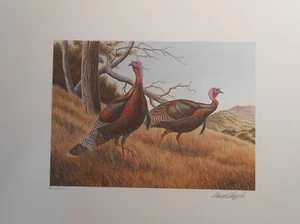 CAWT1 - California Turkey Stamp Print With Folio & Stamp. #02 CAWT1prs - Picture 1 of 4