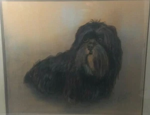 Gorgeous Pencil Drawing Havanese Dog Framed Matted Signed H L Smyth Vintage 1984 - Picture 1 of 10