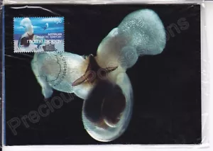 AUSTRALIAN ANTARCTIC TERRITORY AAT FDC 2008 POLAR YEAR SET OF 4 MAXICARDS - Picture 1 of 1