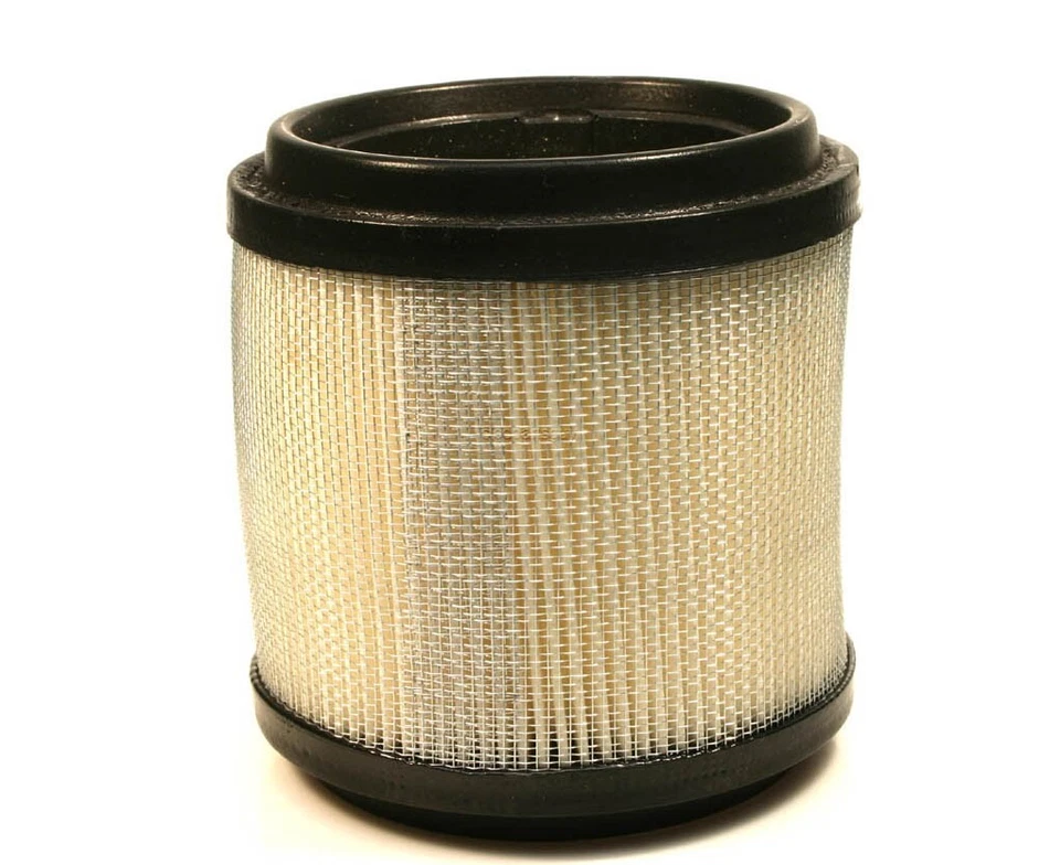 Filtro de aire Polaris Sport 400, 1994 1995 1996 - 400L Foto 1 de 1