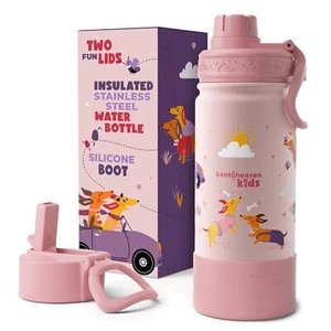 Kids Water Bottle Stainless Steel For Boys & Girls 2 Lids chug & Straw Handle  - Picture 1 of 7