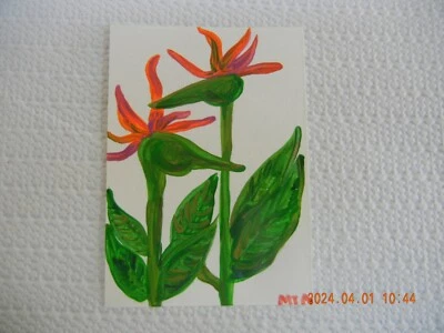 Pintura acrílica sobre papel ACEO Original Birds of Paradise Foto 1 de 3