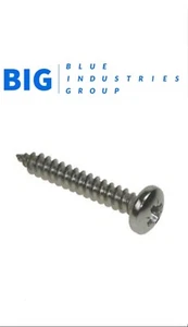 POZI PAN HEAD A2 STAINLESS STEEL SELF TAPPING SCREWS VARIOUS SIZES AND LENGTHS - Picture 1 of 1