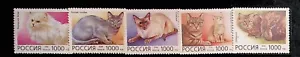 RUSSIA Sc 6307-11 NH ISSUE OF 1996 - CATS - (AF24) - Picture 1 of 1