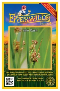 2000 Path Rush Native Grass Seeds - Everwilde Farms Mylar Seed Packet - Picture 1 of 3