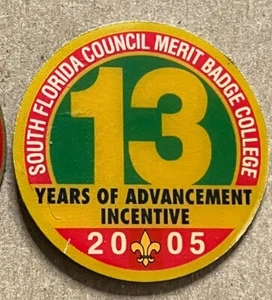 INSIGNIA DE MÉRITO DEL CONSEJO DEL SUR DE LA FLORIDA PRENDEDOR UNIVERSITARIO PREMIO BOY SCOUT - Imagen 1 de 1