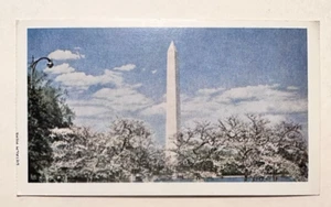 Monumento a Washington entre las flores de cerezo - D.C. Postal vintage Landmark - Imagen 1 de 2