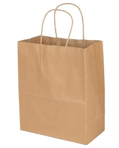 Bolsa de compras de papel Kraft SSWBasics - Estuche mediano (8 1/4”L x 4 3/4”D x 10 1/2”H) de 100 - Imagen 1 de 2