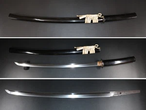 Japanese Sword Wakizashi Koshirae Hizenkoku Oumi Daijo Fujiwara Tadahiro 20.19in - Picture 1 of 24