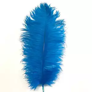 Ostrich Feather Drab 37-42cm - Turquoise - Bild 1 von 3