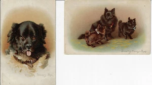 2 postales originales firmadas por artista Dorothy Travers Pope Dog Misch & Co Our Dogs - Imagen 1 de 2