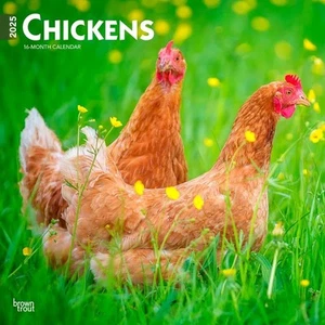 BrownTrout, Chickens 2025 Wall Calendar - Picture 1 of 4