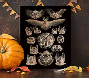 POSTER PRINT Spettrale Pipistrello Facce Halloween Decorazione Vintage Halloween Poster Stampa Wal - Foto 1 di 6