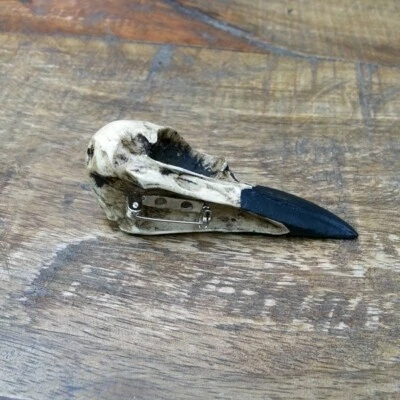 Raven Skull Brooch Pin Lapel Resin Bird Bone Curiosity Oddities Knochen Schmuck - Image 1 of 2