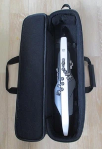 Experience Musical Excellence: Roland Aerophone AE-20 - Perfecto para profesionales - Imagen 1 de 16