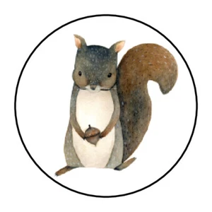 30 1.5" WOODLAND SQUIRREL BIRTHDAY BABY SHOWER FAVOR LABELS ROUND STICKERS - Picture 1 of 1