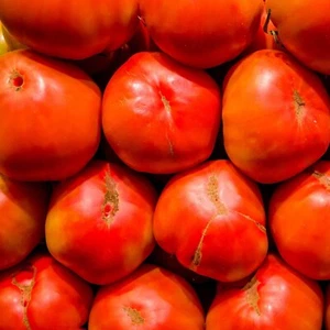 Tomato Big Boy 20+ seeds HEIRLOOM vegetable garden SPRING SUMMER easy grow LARGE - Picture 1 of 1