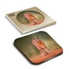 1 x Boxed Square Coasters - Caracal African Lynx Cat  #3170