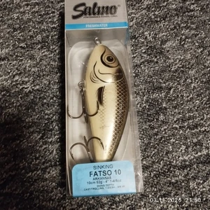 Salmo Fatso 10 sinking - Bild 1 von 1