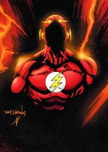 DC Comics FLASH THE FASTEST MAN ALIVE #13 (2007) File Photo - Picture 1 of 1