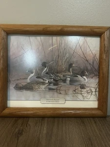 Afternoon Pintails Framed Print By Richard Clifton 11 1/2X 8 1/2 - Picture 1 of 6